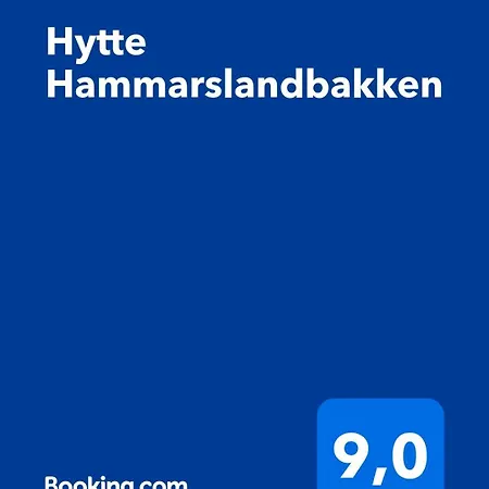 Hammarslandbakken Деревянный коттедж *